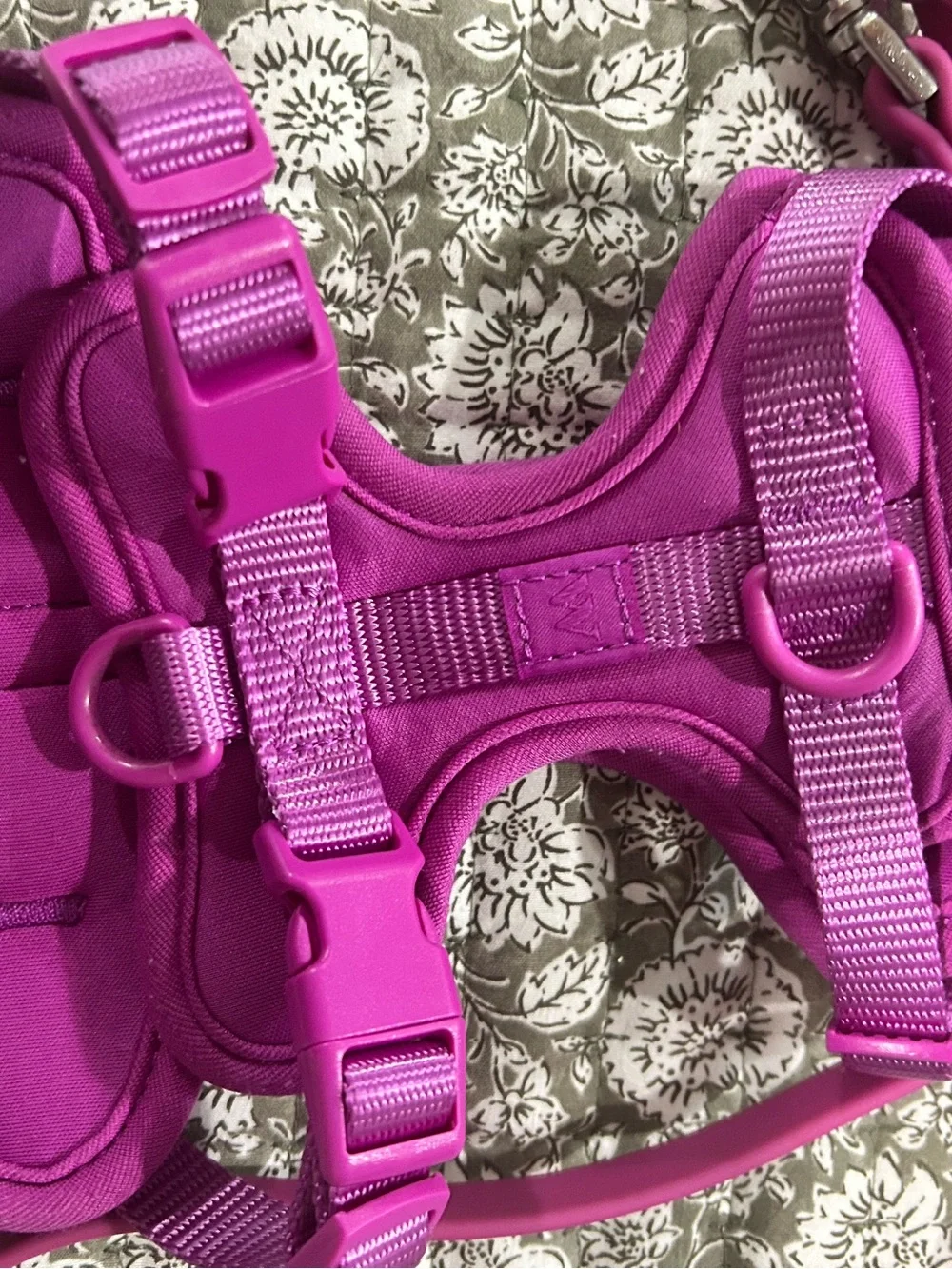 Wild one harness